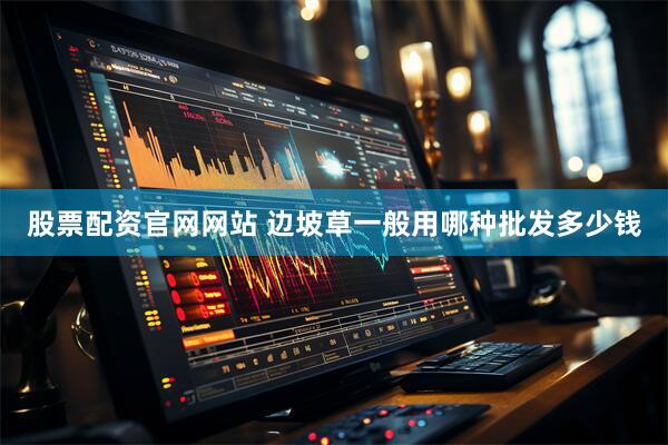 股票配资官网网站 边坡草一般用哪种批发多少钱