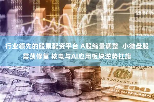 行业领先的股票配资平台 A股缩量调整  小微盘股震荡修复 核电与AI应用板块逆势扛旗